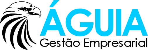Águia Gestão Empresarial